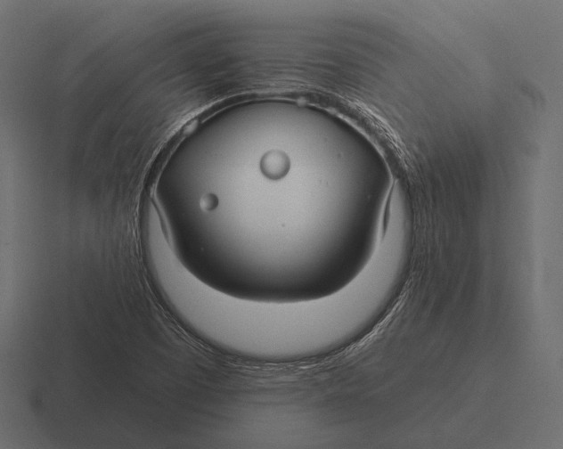 X0000116591457200912291259