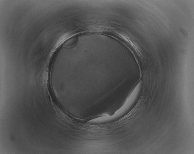 X0000116591459200912291258