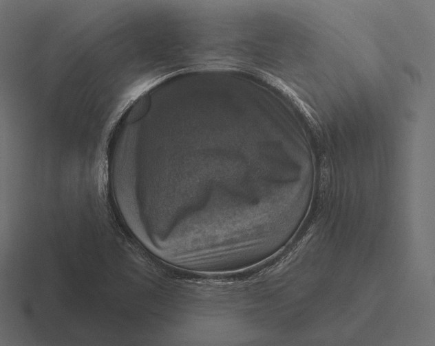 X0000116591461200912291258