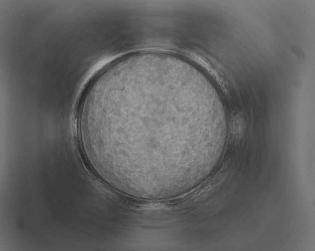 X0000116591462200912291258