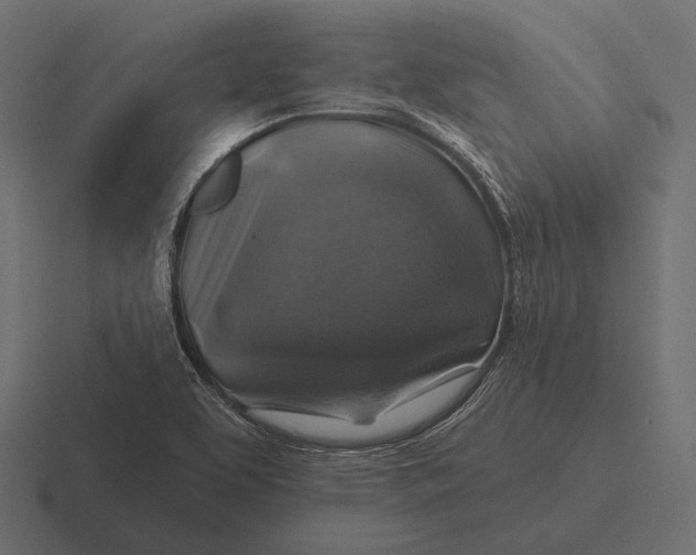 X0000116591463200912291258