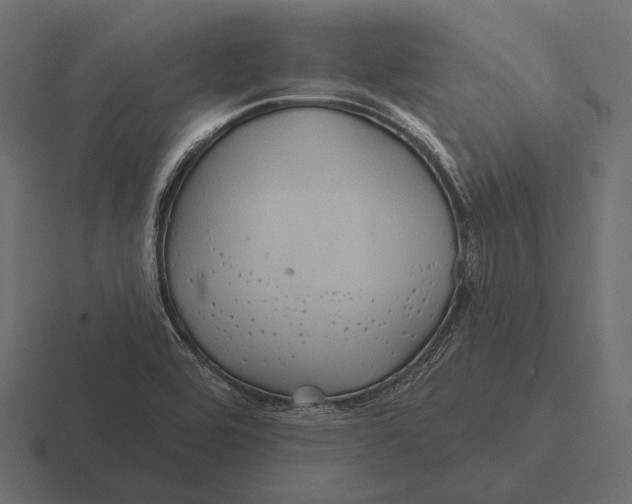 X0000116591464200912291258