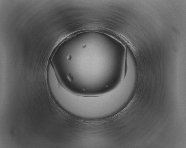 X0000116591465200912291258