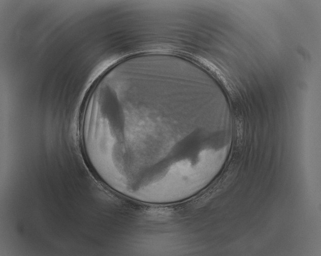 X0000116591466200912291258