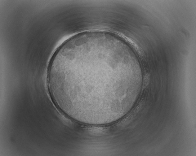 X0000116591470200912291258