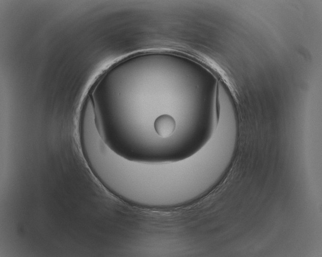 X0000116591472200912291258