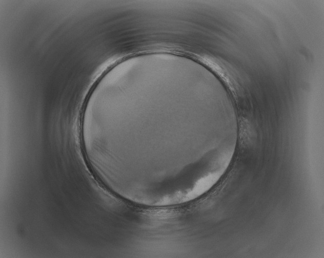 X0000116591474200912291258