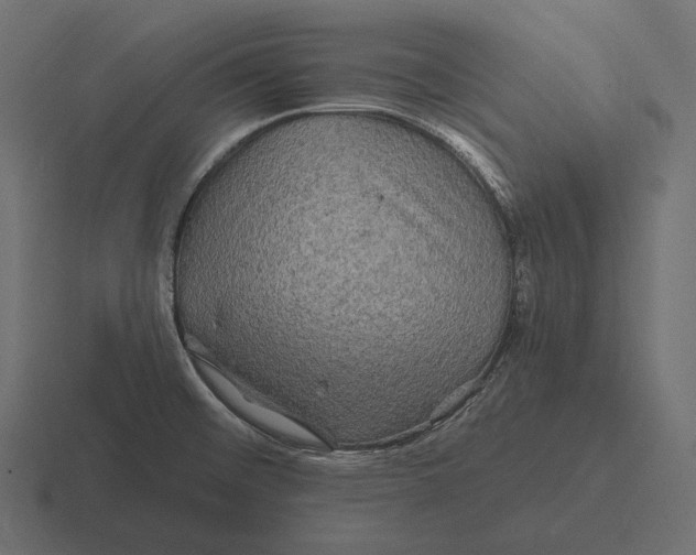 X0000116591476200912291258