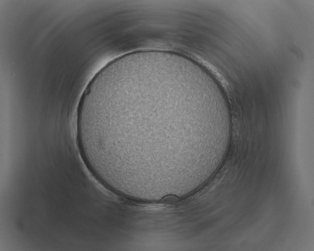 X0000116591479200912291258