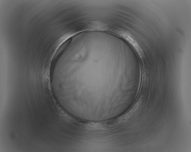 X0000116591481200912291258