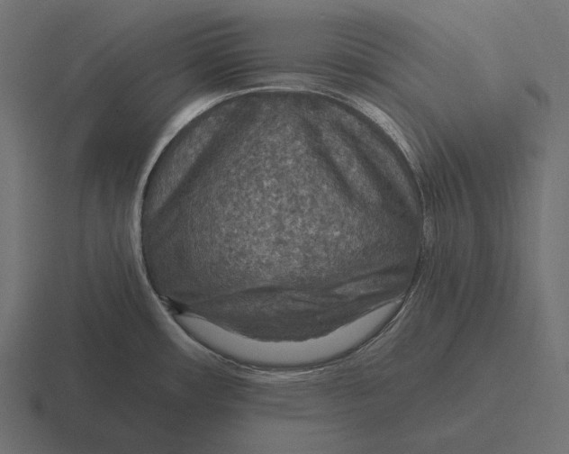 X0000116591482200912291258