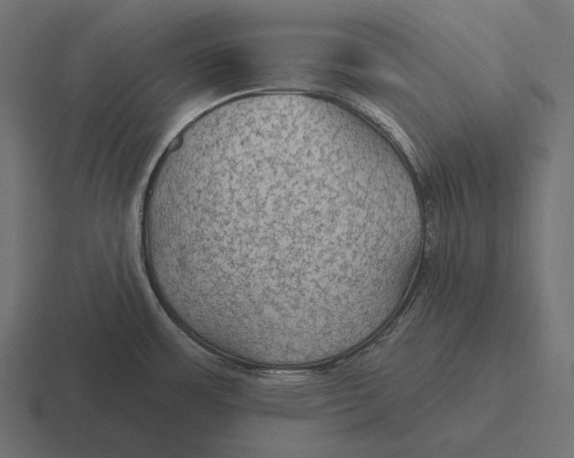 X0000116591483200912291258