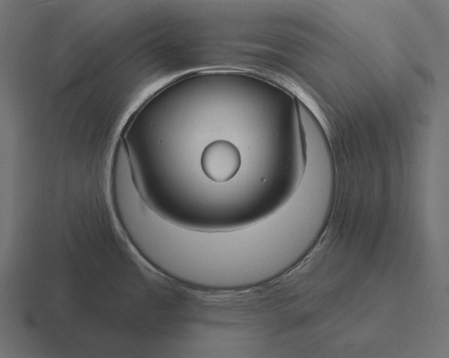 X0000116591485200912291258