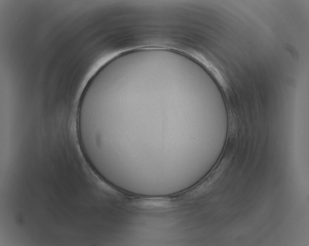 X0000116591486200912291258