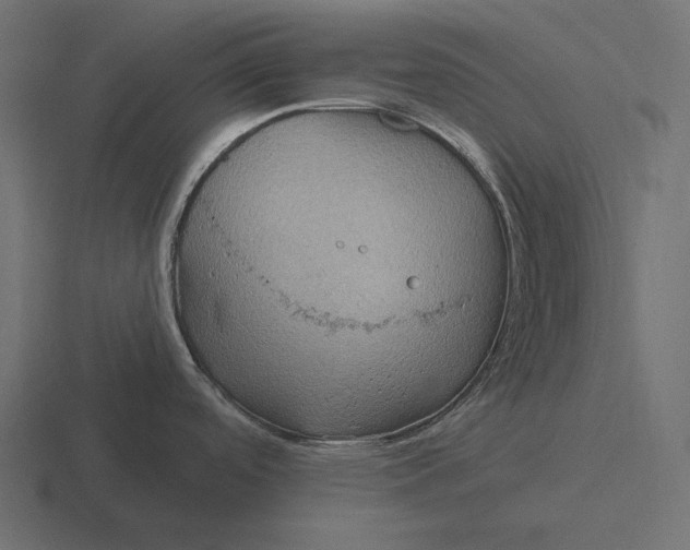 X0000116591488200912291258