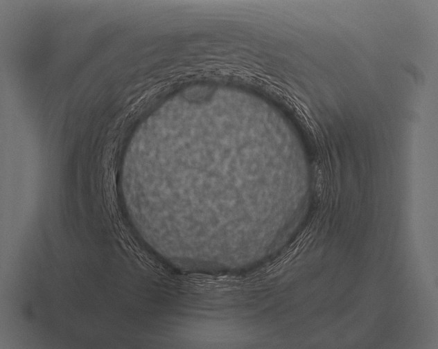 X0000116591489200912291258