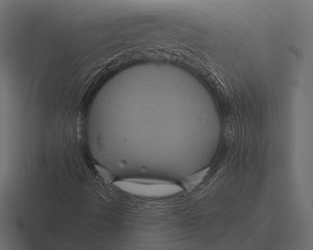 X0000116591490200912291258