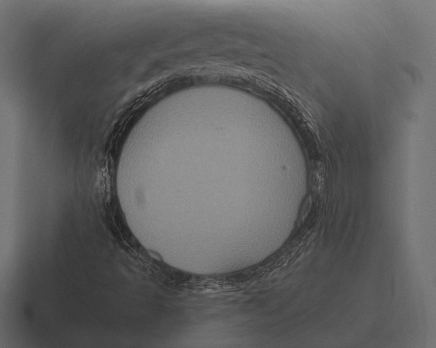 X0000116591493200912291258