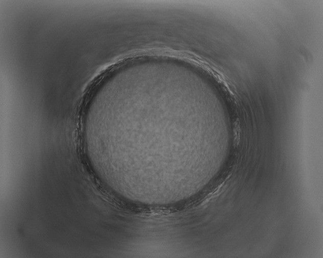 X0000116591494200912291258