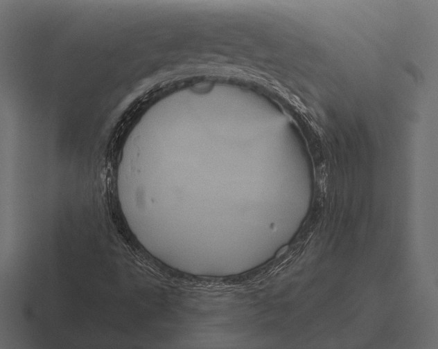 X0000116591495200912291258