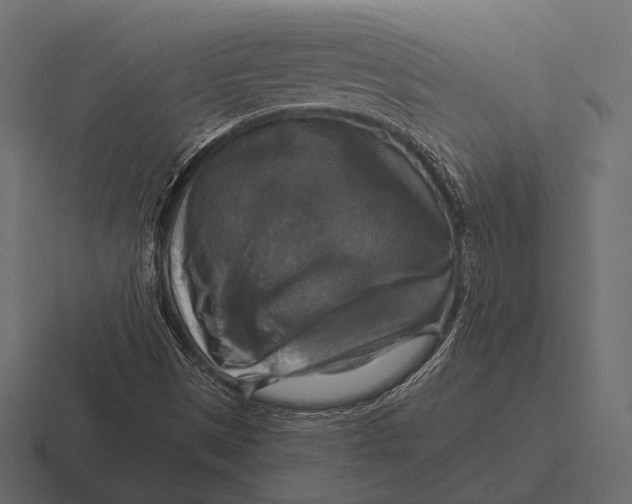 X0000116591497200912291258