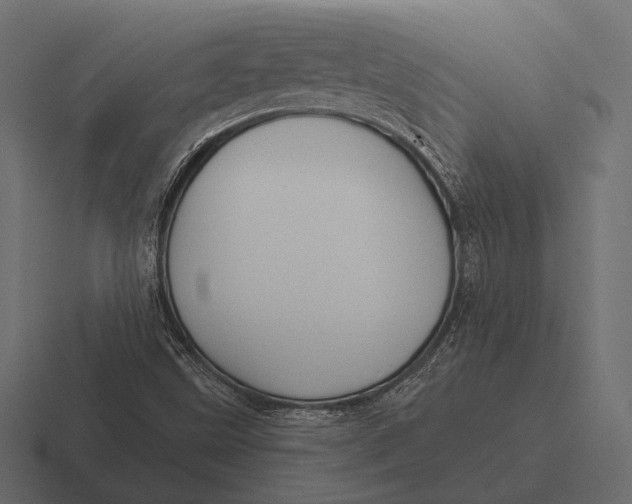 X0000116591499200912291258