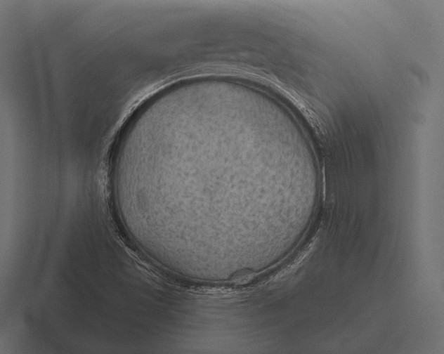 X0000116591501200912291258