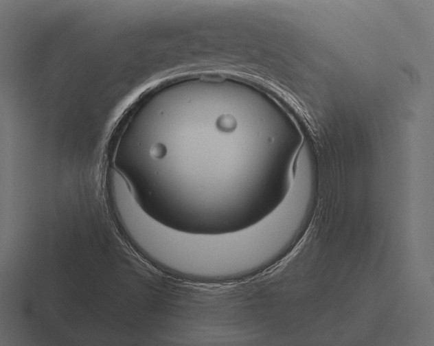 X0000116591502200912291258