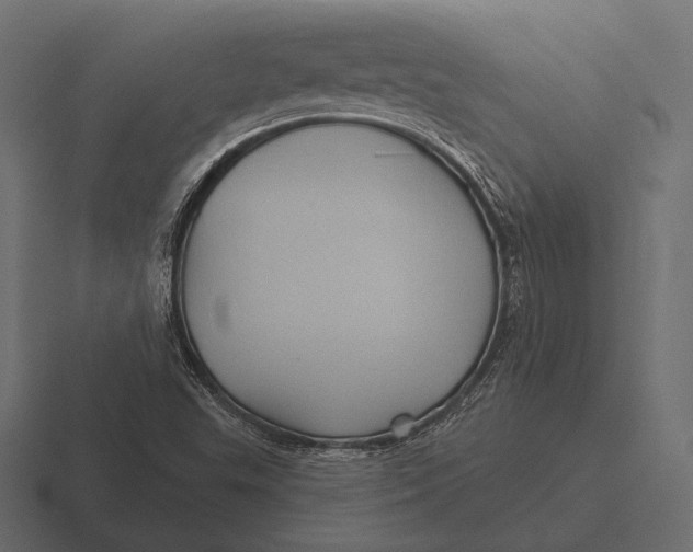 X0000116591503200912291258