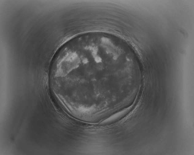 X0000116591505200912291258