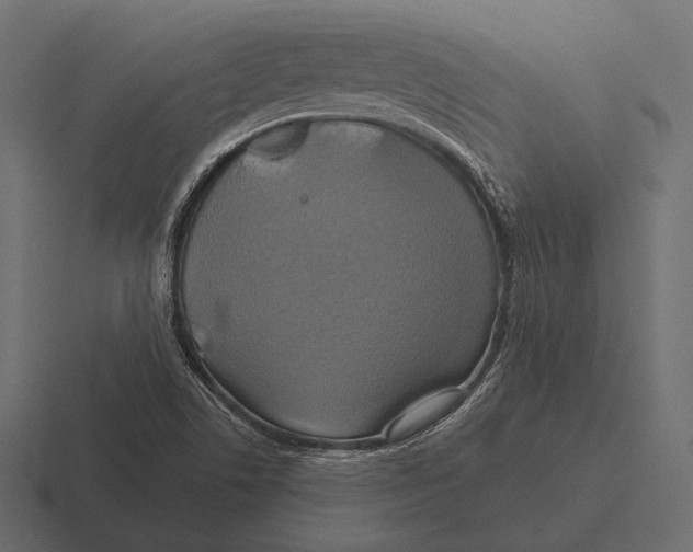 X0000116591506200912291258