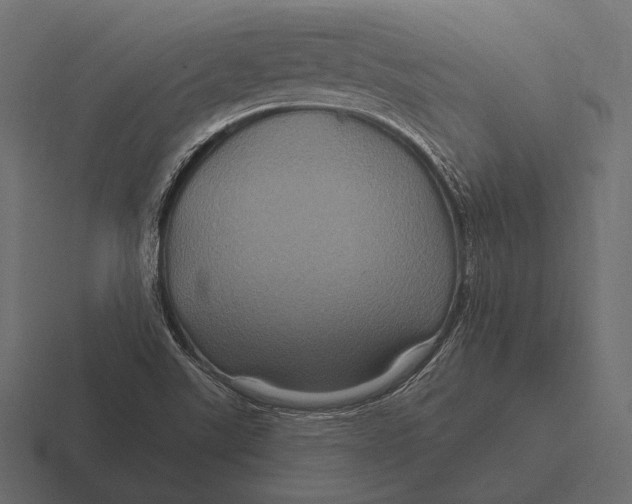 X0000116591507200912291258