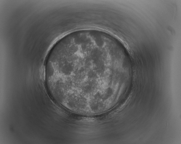 X0000116591509200912291258