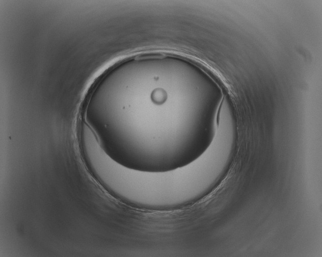 X0000116591510200912291258