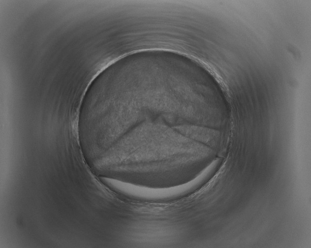 X0000116591513200912291258