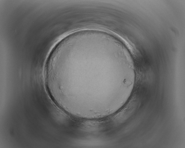 X0000116591514200912291258