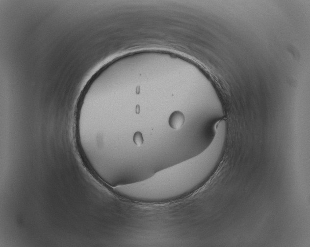 X0000116591518200912291258