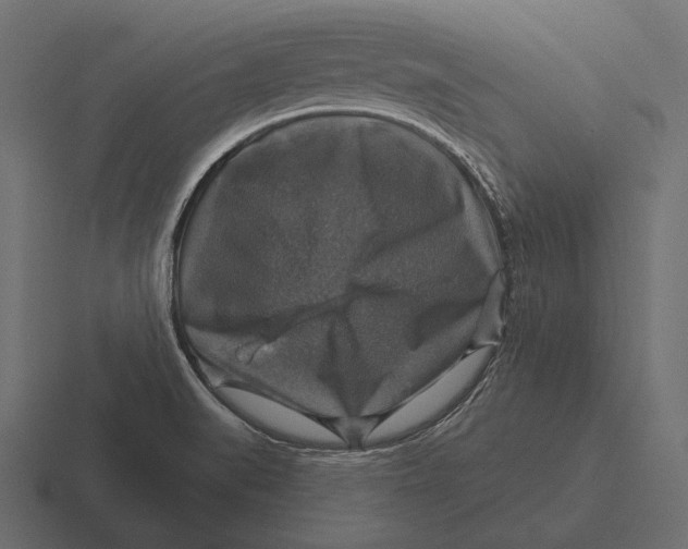 X0000116591519200912291258