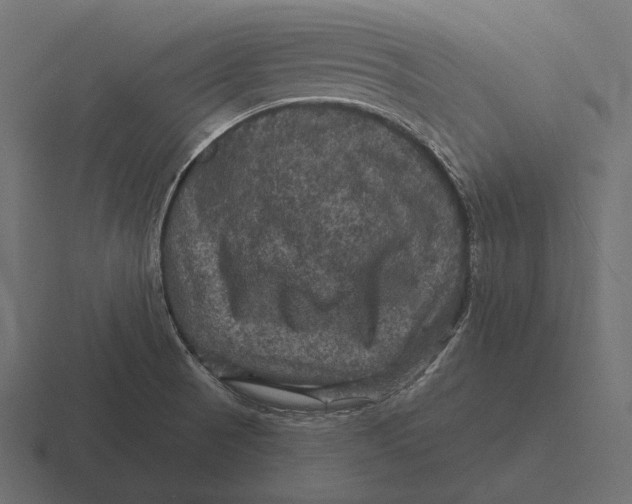 X0000116591521200912291258