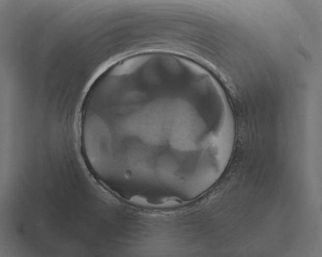 X0000116591522200912291258