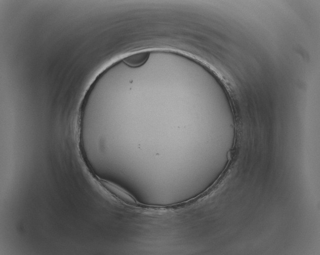 X0000116591526200912291258