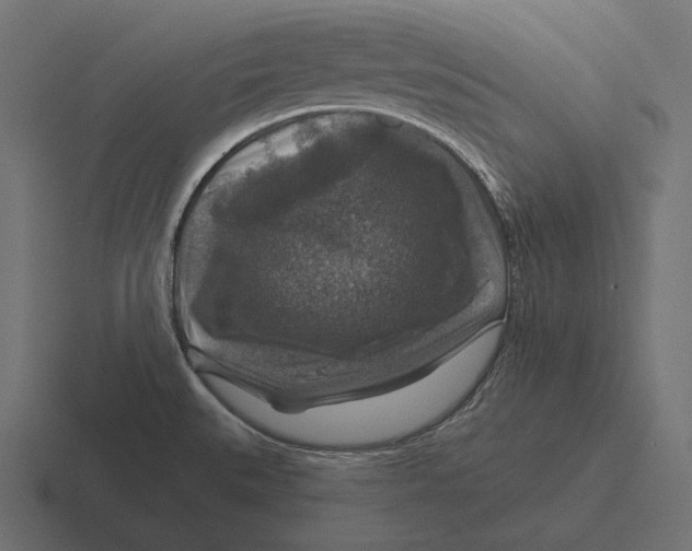 X0000116591527200912291258