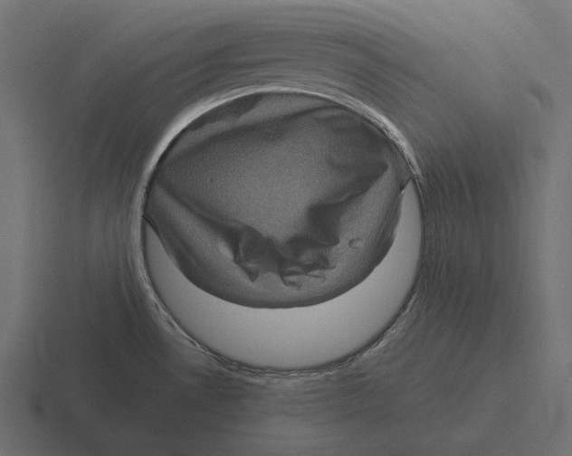 X0000116591530200912291258