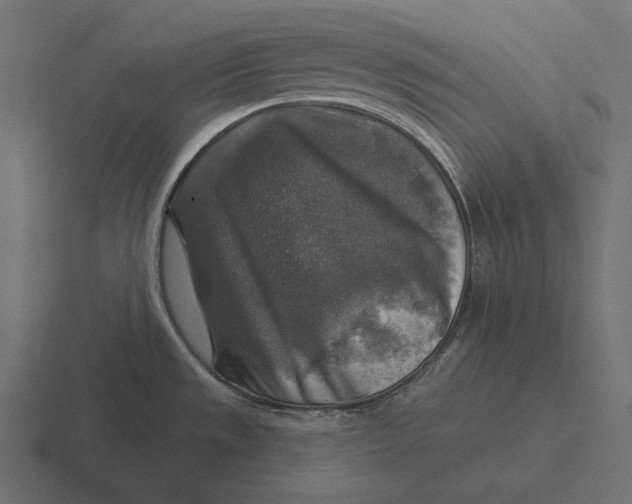 X0000116591533200912291258