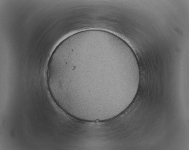 X0000116591534200912291258