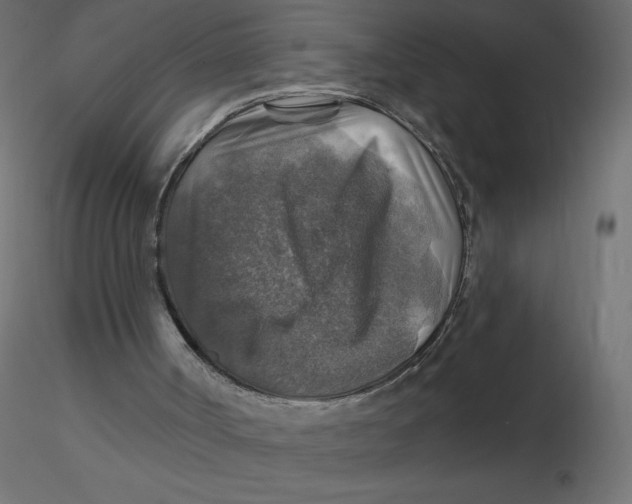 X0000116590002200912312046