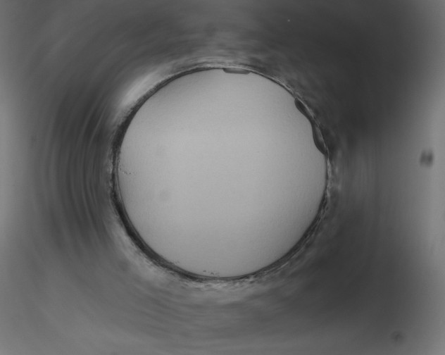 X0000116590005200912312046