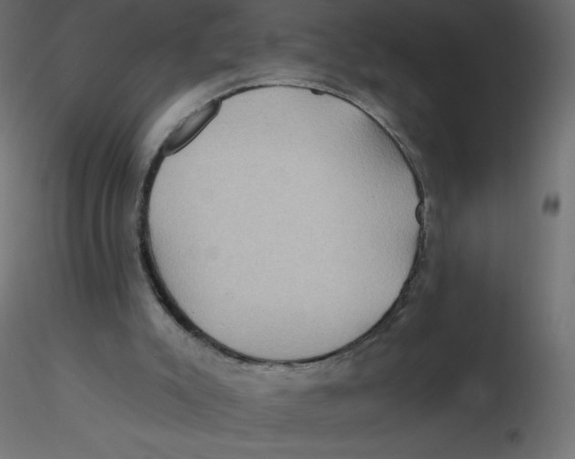 X0000116590007200912312046