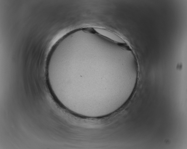 X0000116590008200912312046