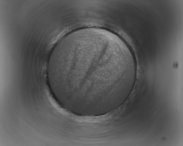 X0000116590009200912312046